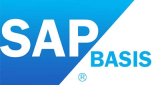 sap-basis